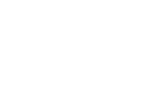 *parametro riferito a Banca Popolare del Cassinate